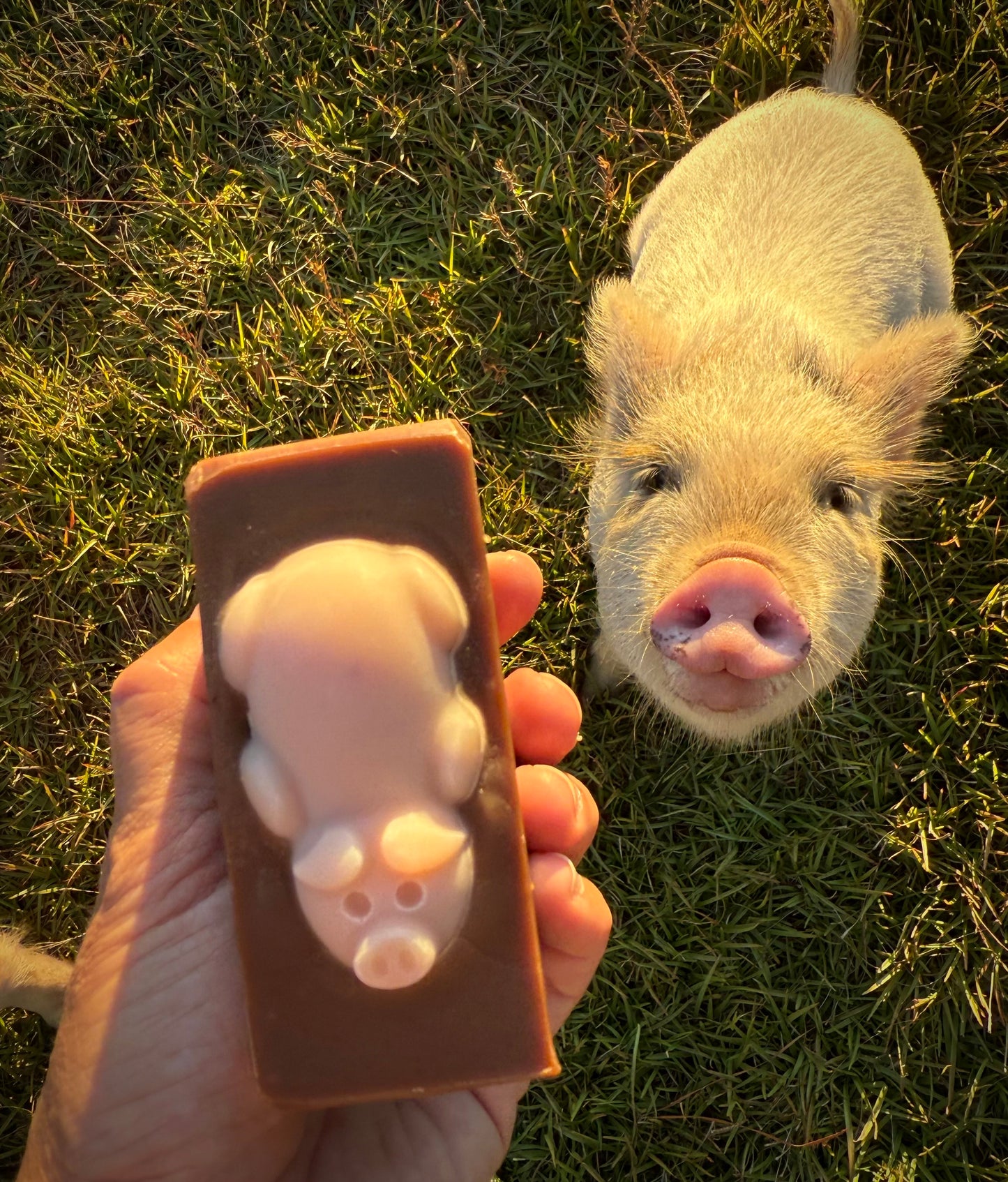 "Pig In The Mud" Goat Milk Soap