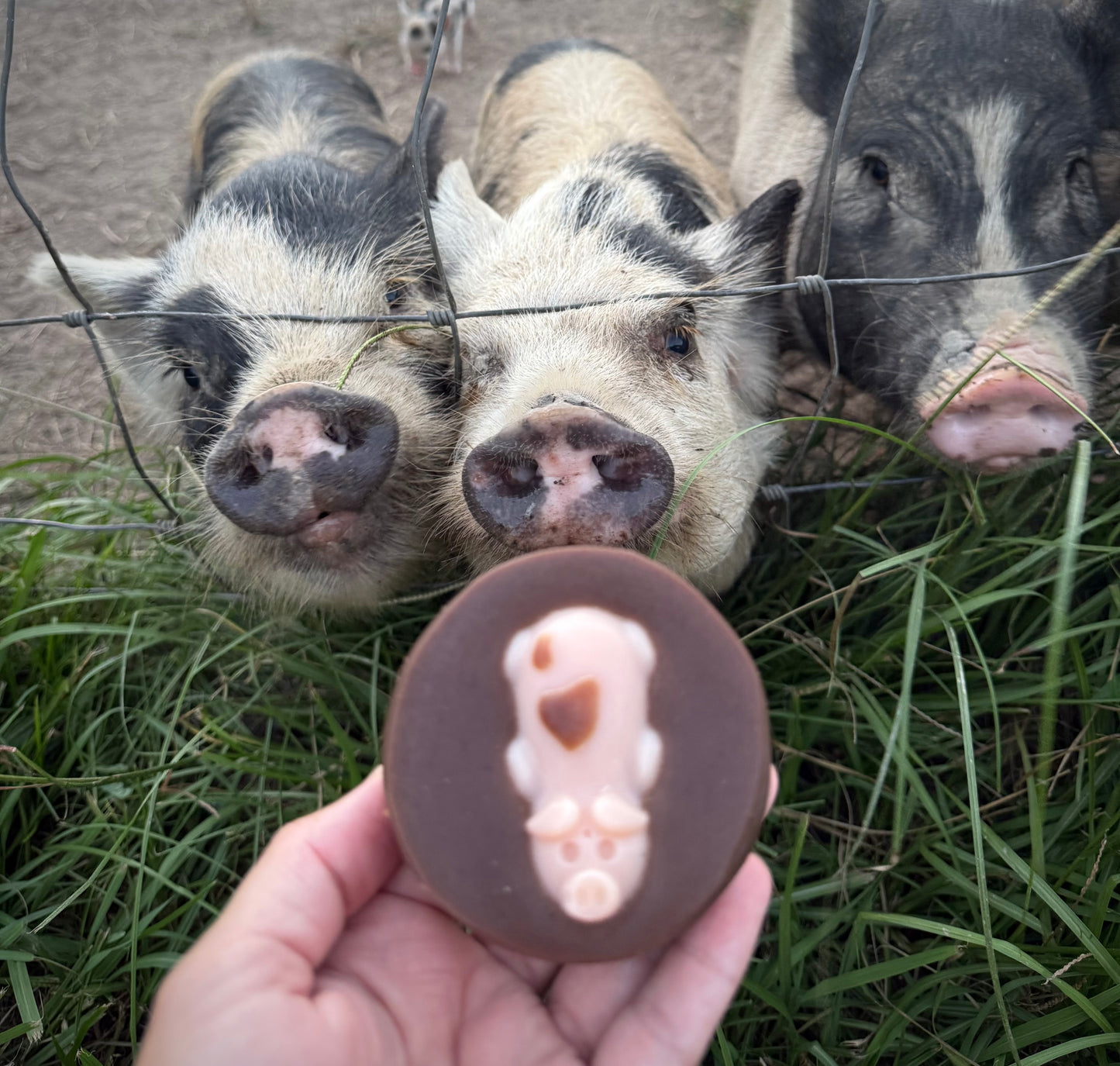 Pig in the mud goat milk soap