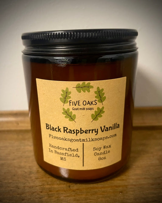 Black Raspberry Vanilla Soy Wax Candle